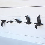 Flying Gulls - Bone China, Set of 5 - Assorted - Matte Black