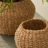 Seagrass Plant Baskets, Set Of 2