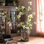 German Clematis Flower Stem in White 40" Tall