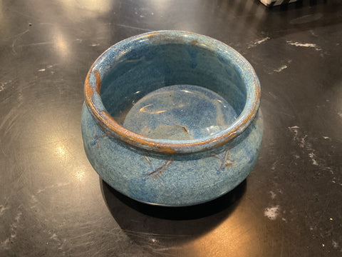 Blue plant pottery