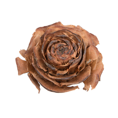 Vickerman 1.3"-1.8" Cedar Rose 9/3.00