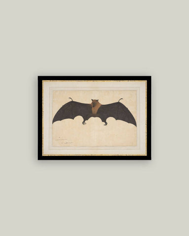 Spooky Bat Framed Antique Art