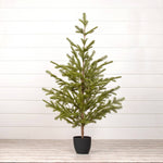 59.25" GREEN TREE W/ BLACK POT