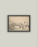 Two Swans Framed Antique Art