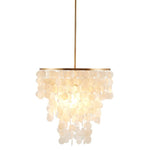 1-Light Shell Drape Elegant Chandelier with Gold Base