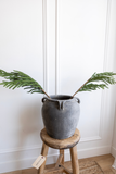 Norfolk Pine Real Touch Green Faux Stem Medium