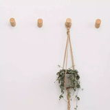 Modern wall hooks, 3 color Coat hooks