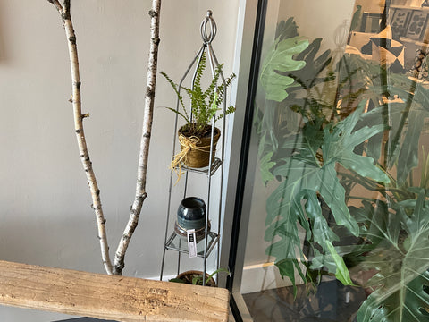 Metal plant stand