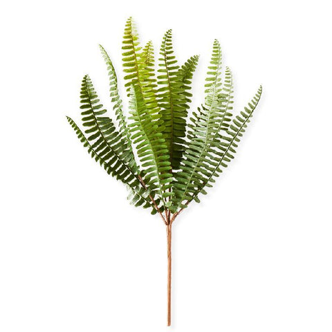 14.5 INCH FISH BONE FERN STEM