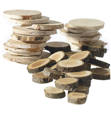 Birch and wood slices