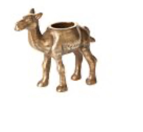 Camel planter