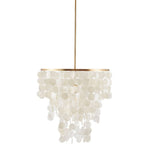 1-Light Shell Drape Elegant Chandelier with Gold Base