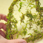 7" Mossy Grapevine Twig Hearts