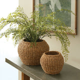 Seagrass Plant Baskets, Set Of 2