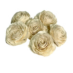 American Beauty Rose Flower Heads White