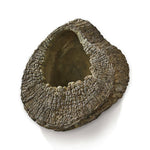 Seabrook Wall Planter 8"