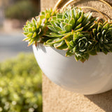 Crescent 3-Piece Metal Wall Planter Set White w/ Gold Detail