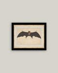 Spooky Bat Framed Antique Art