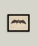 Spooky Bat Framed Antique Art