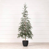 61.25" DUSTY DARK GREEN TREE W/ BLACK POT