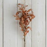 Branch - Dried Oak Leaves, Brown.