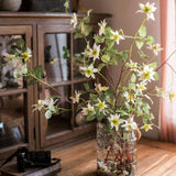 German Clematis Flower Stem in White 40" Tall