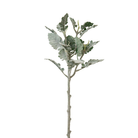 Dusty Miller Spray