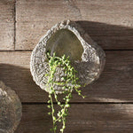 Seabrook Wall Planter 6.5"