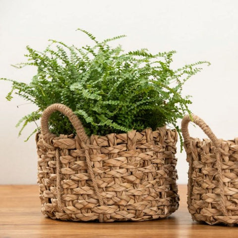 Natural Seagrass Basket S/2